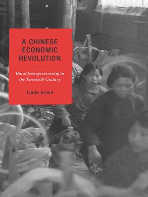 cover image of A Chinese Economic Revolution